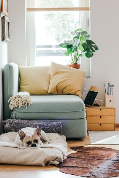 Créer une chambre cocooning parfaite pour les ados : idées et