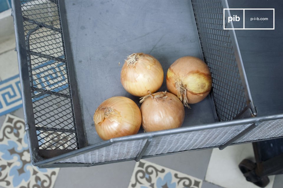 Panier métallique qui s'occupe de ses oignons.