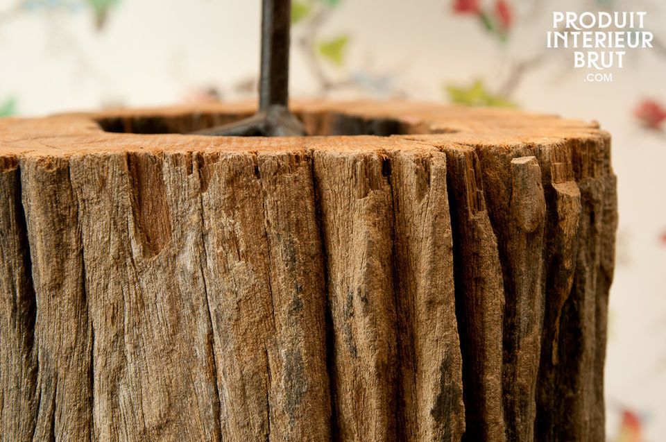 Un luminaire naturel plein de caractère