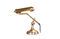 Miniature Lampe de bureau en laiton  Stanford Détouré