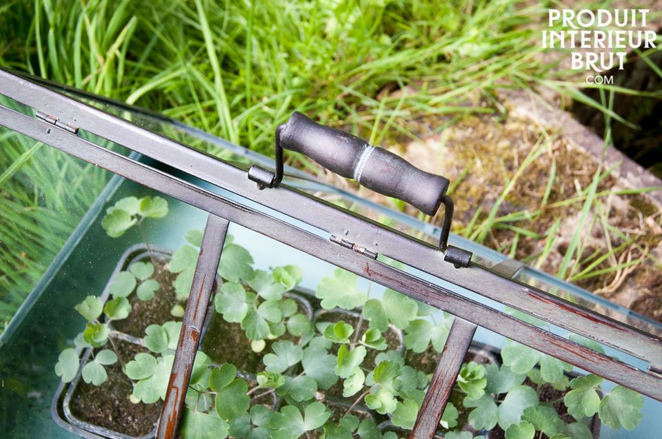 Deux petites serres pour mettre à l\'abri vos plus belles plantes ou vos jeunes pousses